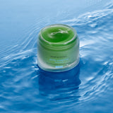SkinCeuticals PHYTO CORRECTIVE MASK Calming face mask
